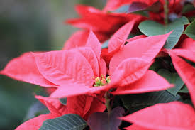 本年もお世話になりました！