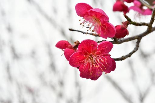 今年も３月～ “お得な春キャンペーン” 実施します！